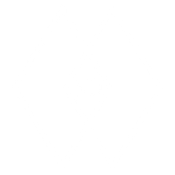 New Dimension Distilling Co Logo_White