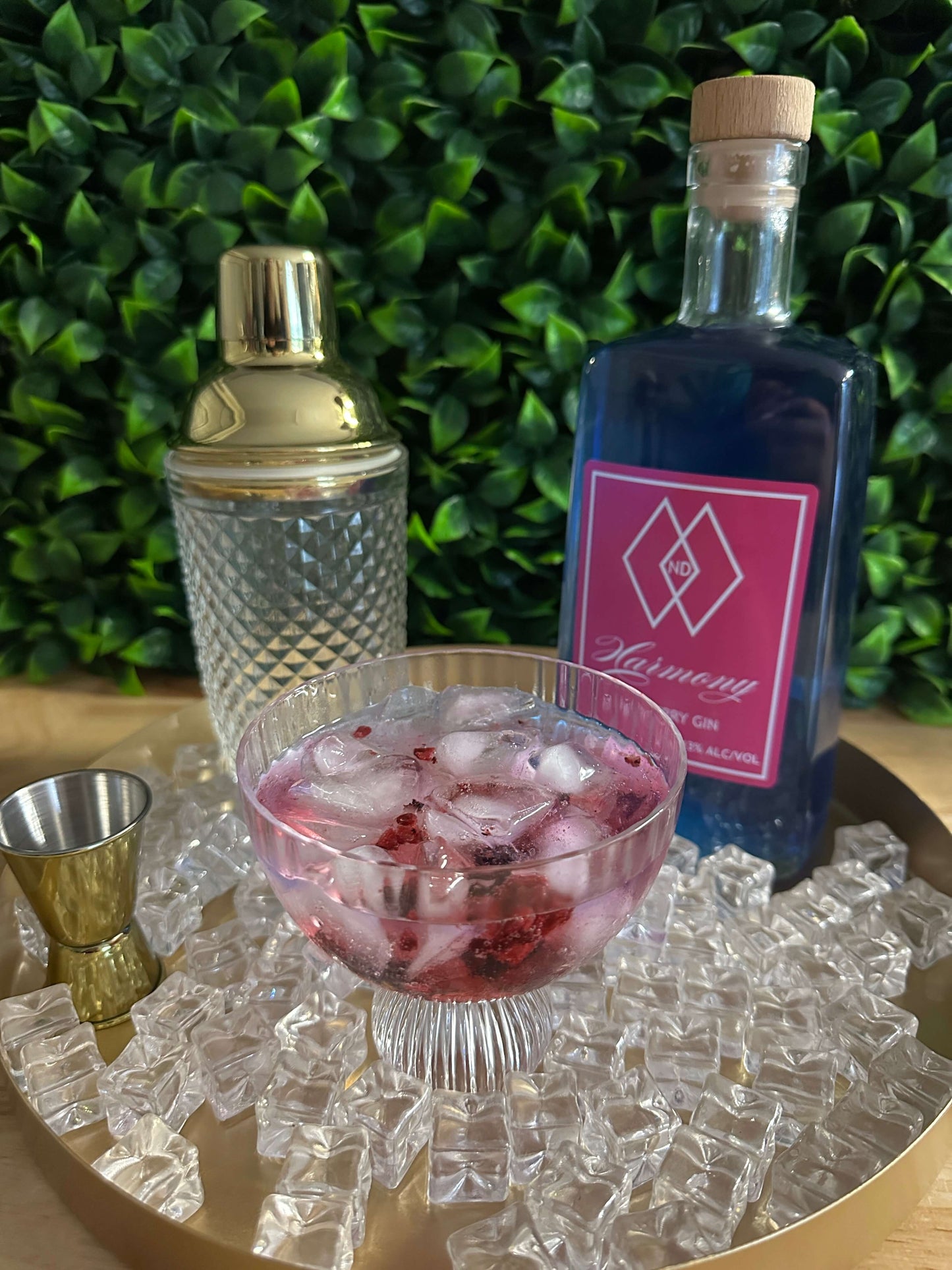 Harmony Gin and Tonic